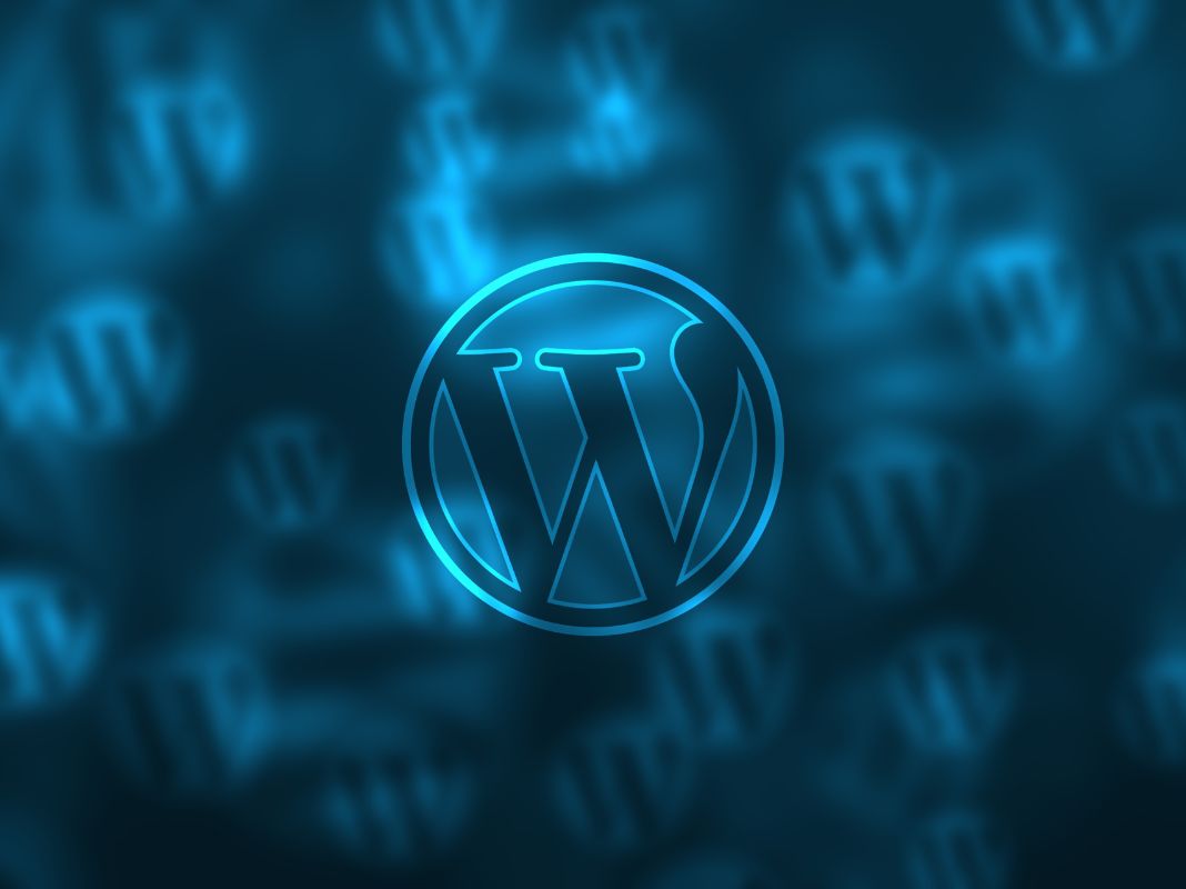 Wordpress SEO