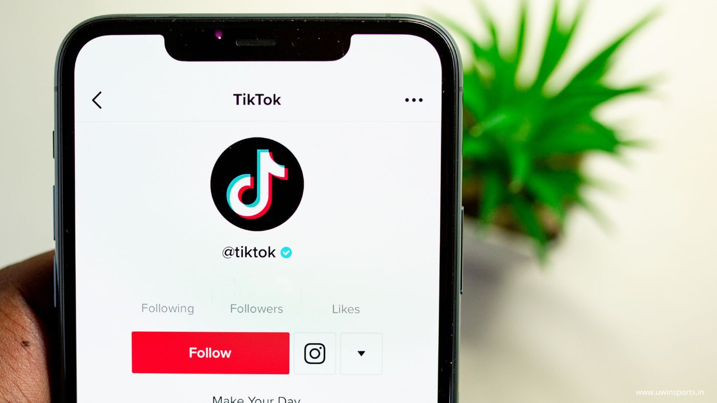 TikTok Earning