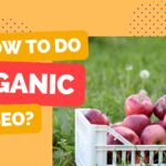 Organic SEO