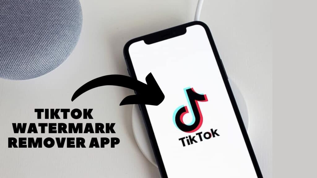 TikTok Watermark Remover App