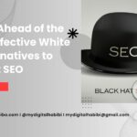 Black Hat SEO Alternatives