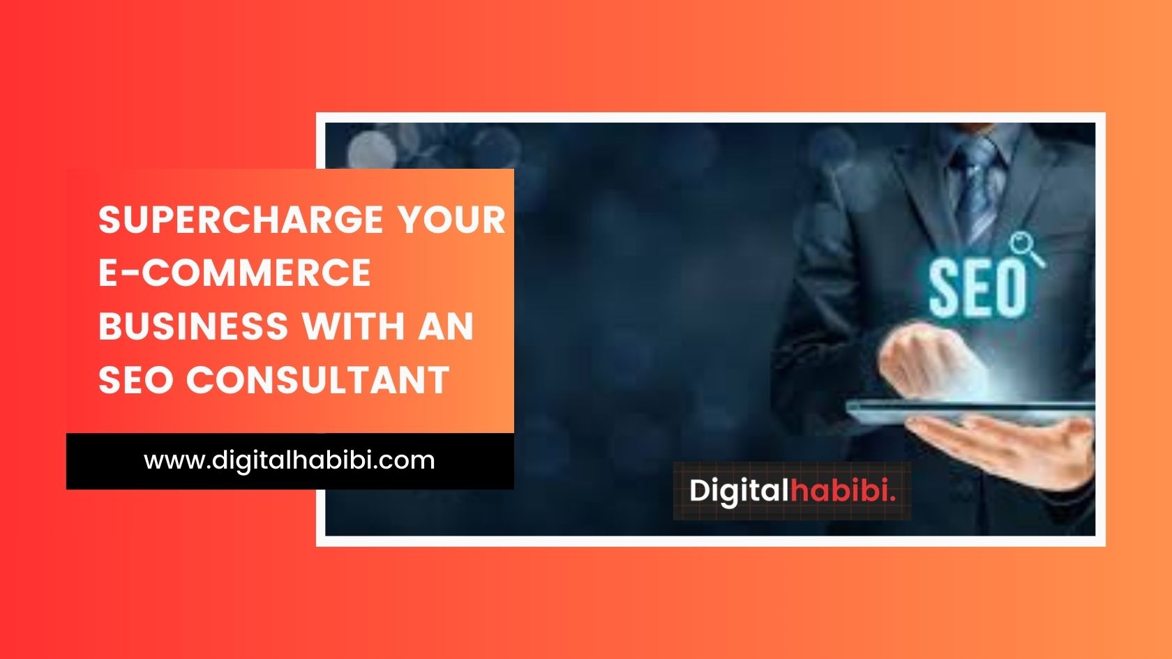 SEO Consultant