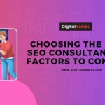 SEO Consultant