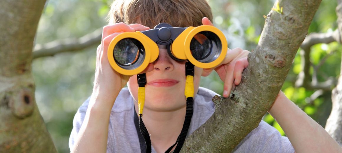 Google Search Intent