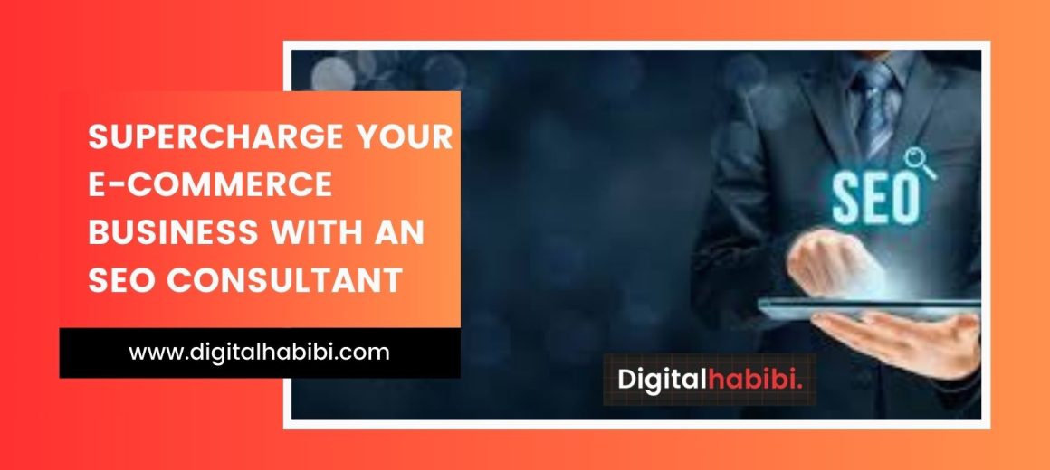 SEO Consultant SEO Consultant