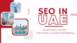 SEO IN UAE SEO IN UAE