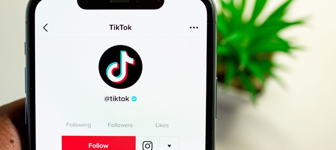TikTok Earning
